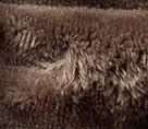 Driftwood - Taupe